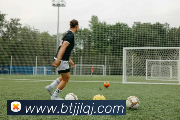互动解说服务